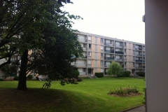 Colocation Lyon Villeurbanne_jardin parc_8961