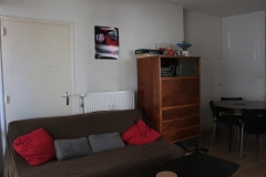 0 colocation-gillet-4C-Lyon-salon- -vue- _9072