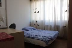 colocation-gillet-4C-Lyon-chambre-2-vue- _9079