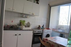 colocation-gillet-4C-Lyon-cuisine- -vue- _9058