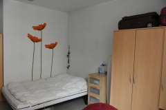 Chambre 3 colocation Lyon vue 03